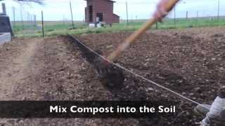 Planting Onions in Compost [upl. by Ellesij]