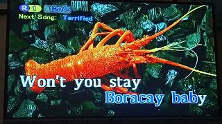 Boracay Baby  Carlos Agassi Karaoke [upl. by Rory]