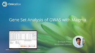 Gene Set Analysis of GWAS with Magma in OmicsBox [upl. by Anippesuig]