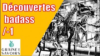 Découvertes badass Les iguanodons de Bernissart [upl. by Fritzsche]