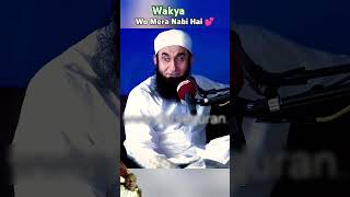 Maulana Tariq Jameel Sahab Islamic viralvideo islamicpilgrimage [upl. by Leonsis]