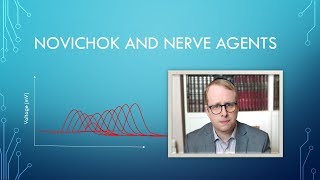 Novichok and Nerve Agents Neurophysiology and Treatment [upl. by Ahsaz109]