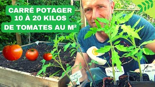 CARRÉ POTAGER ► RÉUSSIR SES TOMATES Planter nourrir sol paillage ombrage arrosage variétés [upl. by Acsecnarf]