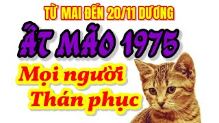 Tử vi Ất Mão 1975 gặp thời kỳ vàng son tài vận mạnh như vũ bão thăng hoa từ mai tới 2011 dương [upl. by Tiler]