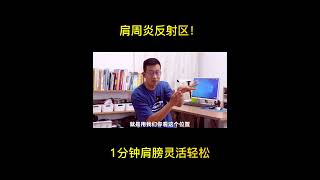 肩周炎反射区！1分钟肩膀灵活轻松 Reflection zone 1 minute flexible and relaxed shoulders【人体百科David伟】 [upl. by Namar]