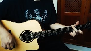 The Melvins  Revolve Acoustic guitar cover [upl. by Sirromaj]