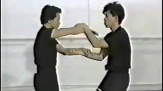 Very good Wing Chun Sticky hand technique with Sifu Chow [upl. by Palmore]