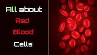 All About Red Blood Cells – Hindi – Quick Support [upl. by Iolanthe]