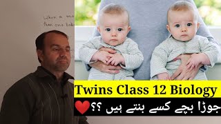 Twins class 12 Biology Identical and non identical Twins How twins are produced [upl. by Beaufert]