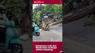 Pohon Tumbang di Alauddin Makassar Menimpa Motor Pemilik Selamat shortsnews [upl. by Graaf]