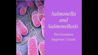 Salmonella and Salmonelliosis A Complete Beginners Guide [upl. by Ytrebil]