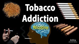 Tobacco Addiction Nicotine and Other Factors Animation [upl. by Scotty982]