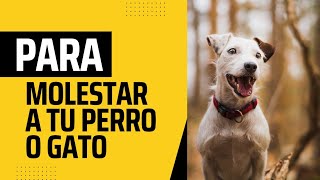 Sonido Para Perros 🐕 LOS MEJORES ladridos de perros 🐾🐶 🔊 ¡Tiernos y Adorables [upl. by Nelrac]