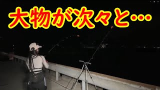 大物を次々と釣る女子が使った釣りエサはやはり最強だった🎣 [upl. by Siuqramed]