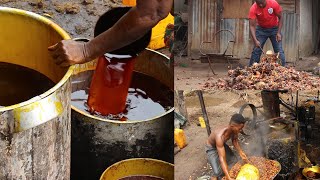 Palm oil production process 1 [upl. by Annahtur]