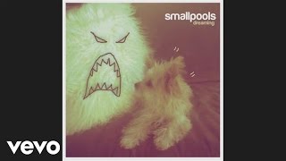 Smallpools  Dreaming Official Audio [upl. by Berner]