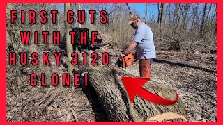 NEOTEC NH8120  Husqvarna 3120 Clone Budget Chainsaw Gets Its First Shake Down OFFICIAL VIDEO [upl. by Ahsenroc]