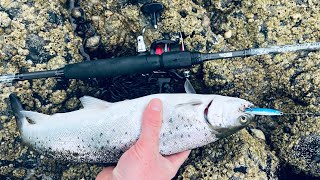 Lure Fishing For Sea Trout  West of Scotland [upl. by Howlond]