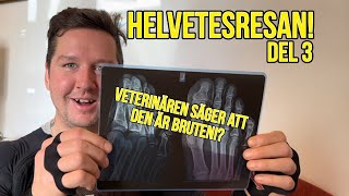 HELVETESRESAN del 3 Börjar dagen med ett besök hos veterinären och avslutar med 1000m stupkörning [upl. by Ames]