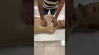 Chest Examination  inspection and palpation [upl. by Dlnaod743]