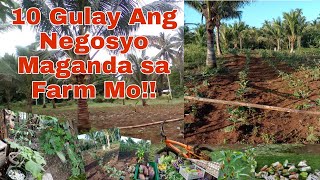 10 Gulay Ang Negosyo Magpapaganda ng Pamumuhay  Live Healthy Live Wealthy  Vegetable Farming [upl. by Newhall489]