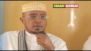 Fadliga Suuratul Baqara  ► Sh Maxamed Sh Cumar Dirir [upl. by Erasaec]