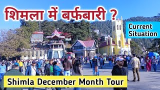 Shimla snowfall update shimla current situation shimla weather shimla December month weather [upl. by Enirehs503]