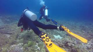 Cebu Malapascua Thresher Shark Diving November 222023 Philippines [upl. by Adnarem]