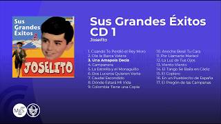 Joselito  Sus Grandes Éxitos álbum completo  full album [upl. by Mehalek144]