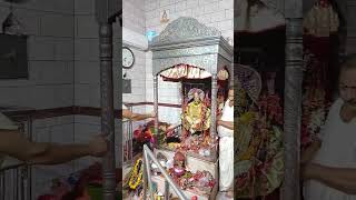 উলুবেড়িয়া কালীবাড়িতে সন্ধ্যারতি uluberia kalipuja kalibari [upl. by Niles]