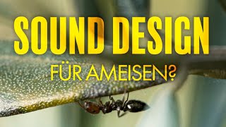 Sound Design in Naturdokumentationen  Insektenschritte aufnehmen [upl. by Violet]