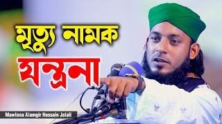 মৃত্যু নামক যন্ত্রনা  আলমগীর হোসেন জালালী ক্বাদেরী  Alamgir Hossain Jalali  01301431726  C5PP [upl. by Ahsyekal]