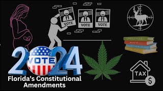 Florida Constitutional Amendments Explained [upl. by Cain]