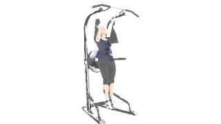 BodyCraft T3 Life Tree Total Training Power Tower [upl. by Cherin203]