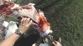 Whitetail deer skinning and butchering video [upl. by Etrem]