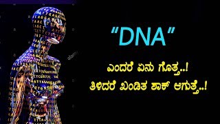 What is DNA in Kannada  quotDNAquot Explained in Kannada [upl. by Ynnij]