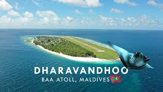 Maldives Dharavandhoo Island Review 2019  TRAVEL VLOG [upl. by Orola24]