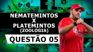 NEMATEMINTOS X PLATEMINTOS – QUESTÃO 05 – LISTA 23 ZOOLOGIA [upl. by Gniw]