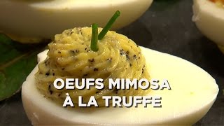 OEUFS MIMOSA À LA TRUFFE [upl. by Anaibib]