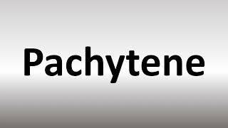 How to Pronounce Pachytene [upl. by Traweek33]