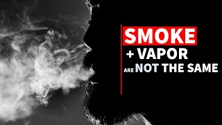 Vapour is NOT Smoke  Tobacco Harm Reduction  Common Sense [upl. by Eiggam391]