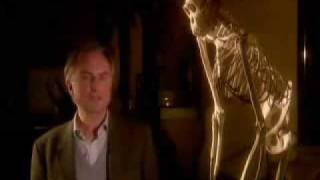 Richard Dawkins explains the meaning of life [upl. by Shellie98]