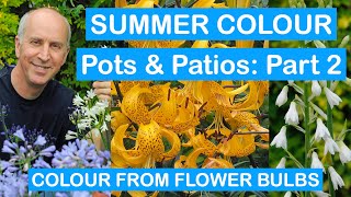 SUMMER COLOUR FOR POTS amp PATIOS Part 2  COLOUR FROM FLOWER BULBS – Lilies DahliasBegonias amp More [upl. by Aissenav493]