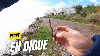 Pêche en digue pêche fishing surfcasting [upl. by Dragde]