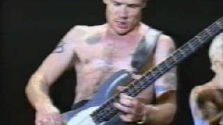 flea bass solo  live bizarre [upl. by Birchard]