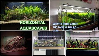 Horizontal Aquascapes  WHATS GOOD About the Tank w Mr Po  vVIII [upl. by Enajiram43]