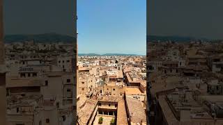 Spain🇪🇸 Stunning View of Palma de Mallorca from CatedralBasílica de Santa María Mallorca [upl. by Drofla865]