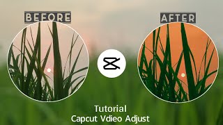 Capcut color grading tutorial  How to adjust video in capcut [upl. by Iyre438]