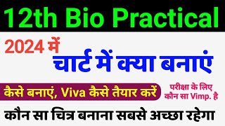 प्रैक्टिकल चार्ट मे क्या बनाएं  Class 12 Biology chart me kya banaye  bio chart mein kya banaen [upl. by Mena]