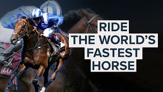 BATTAASH RIDE THE FASTEST HORSE IN THE WORLD [upl. by Onifled]